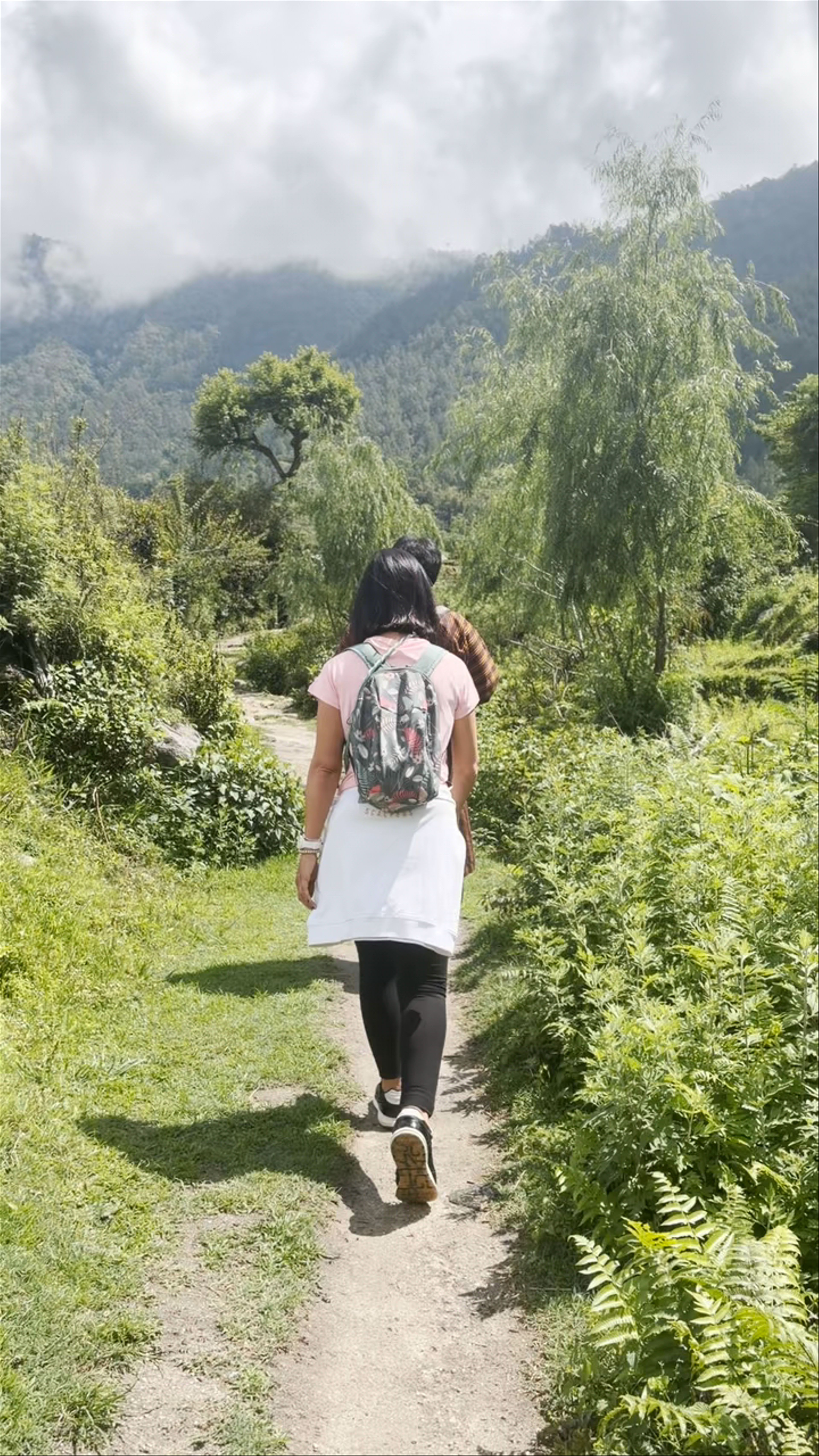 Peaceful Trek to Lone Tree near Khamsum Nyenzergang Chorten, Bhutan