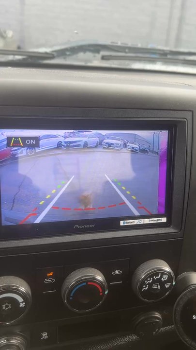 Audio Solutions & tinting - Don't buy the "elite" back up cam - Car Window Tinting Near Me - Yakima, Washington
