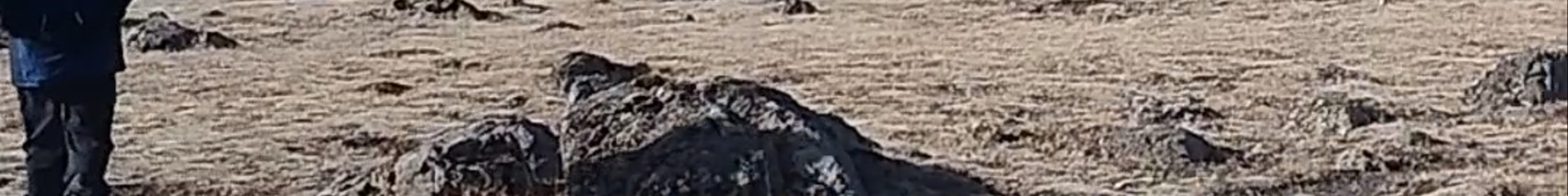 Tours & experiences in Vík í Mýrdal