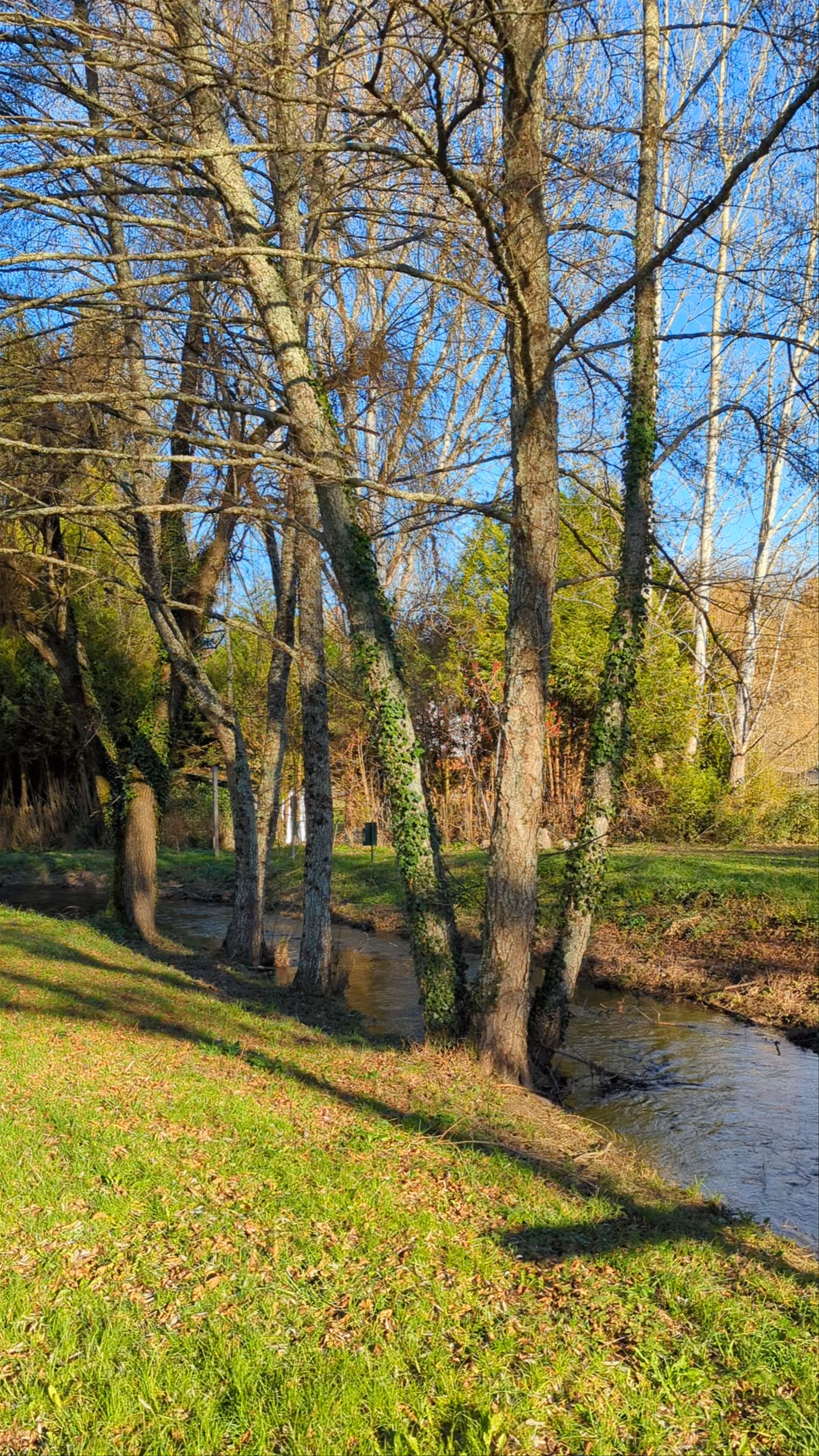 Les 7 Sources: Serene Winter Stream in Lamothe-Fénelon