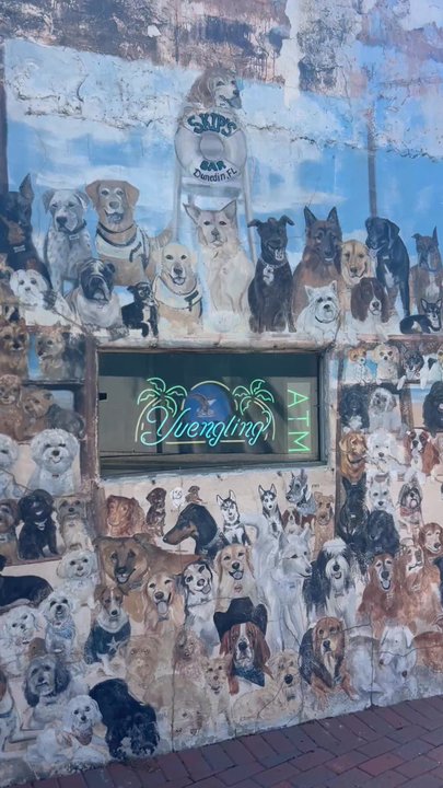 Skip's Bar & Grill - Bars Near Me - Dunedin, Florida