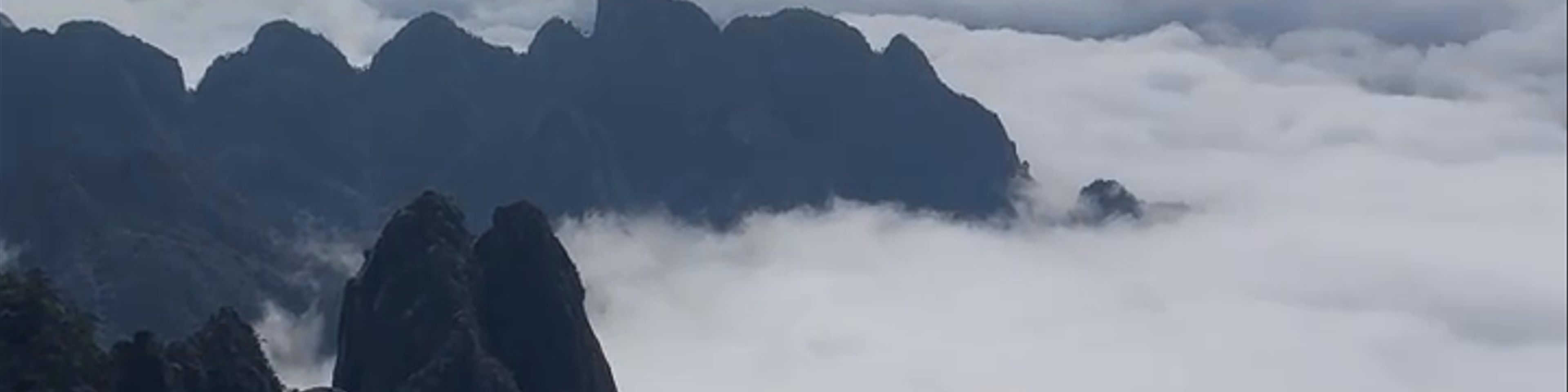 Zhengfang