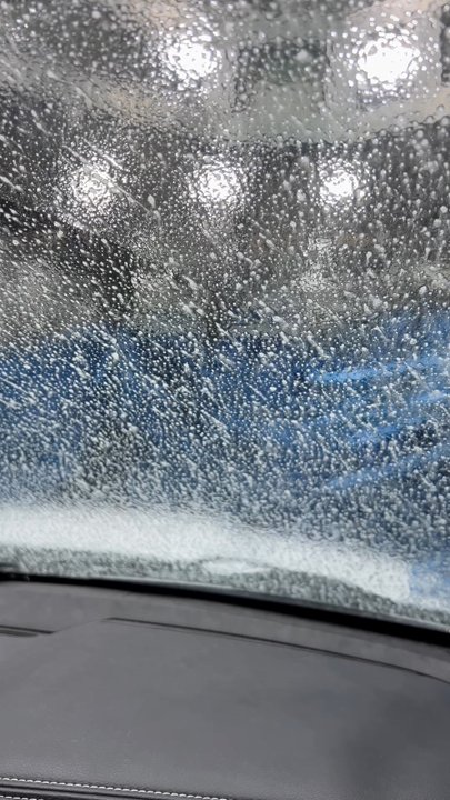 Brown Bear Car Wash - Beary Bright Car Wash! - Car Wash Near Me - Redmond, Washington