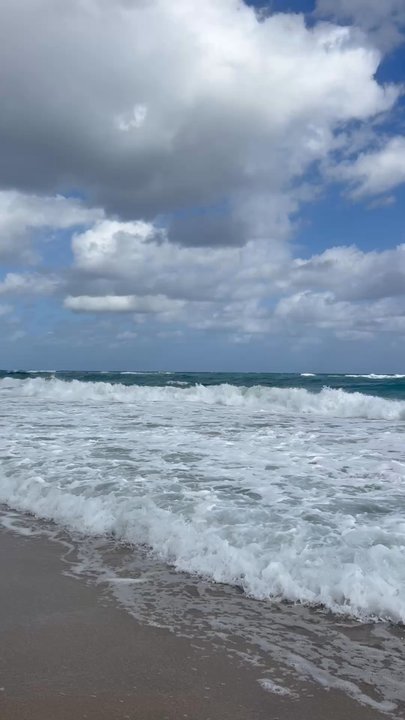 Palm Beach - Beaches Near Me - Palm Beach, Florida