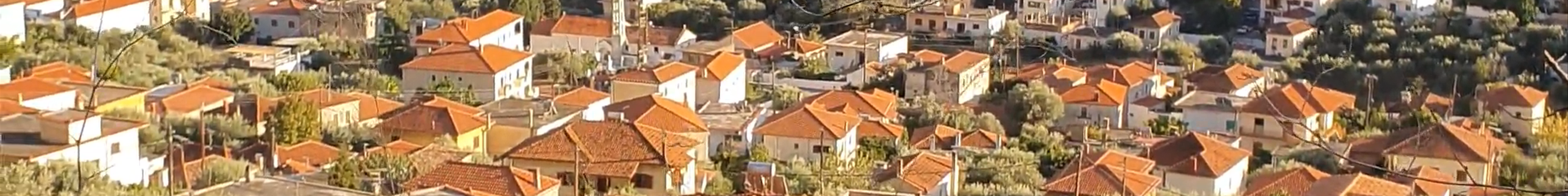 Tours & experiences in Leonídio