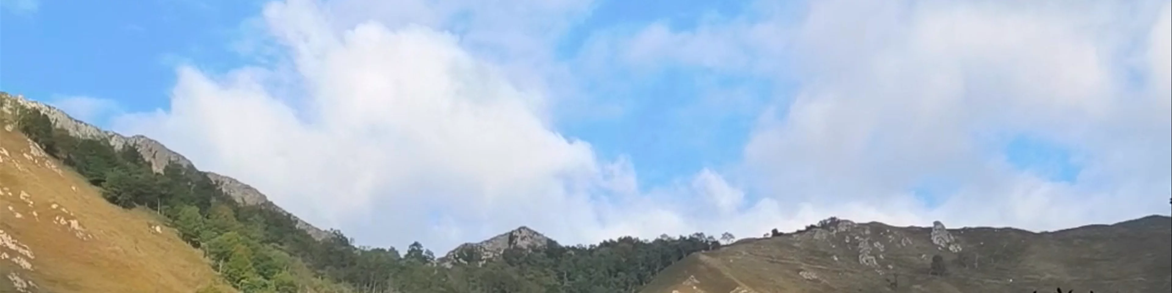 Museo del Real Sitio de Covadonga