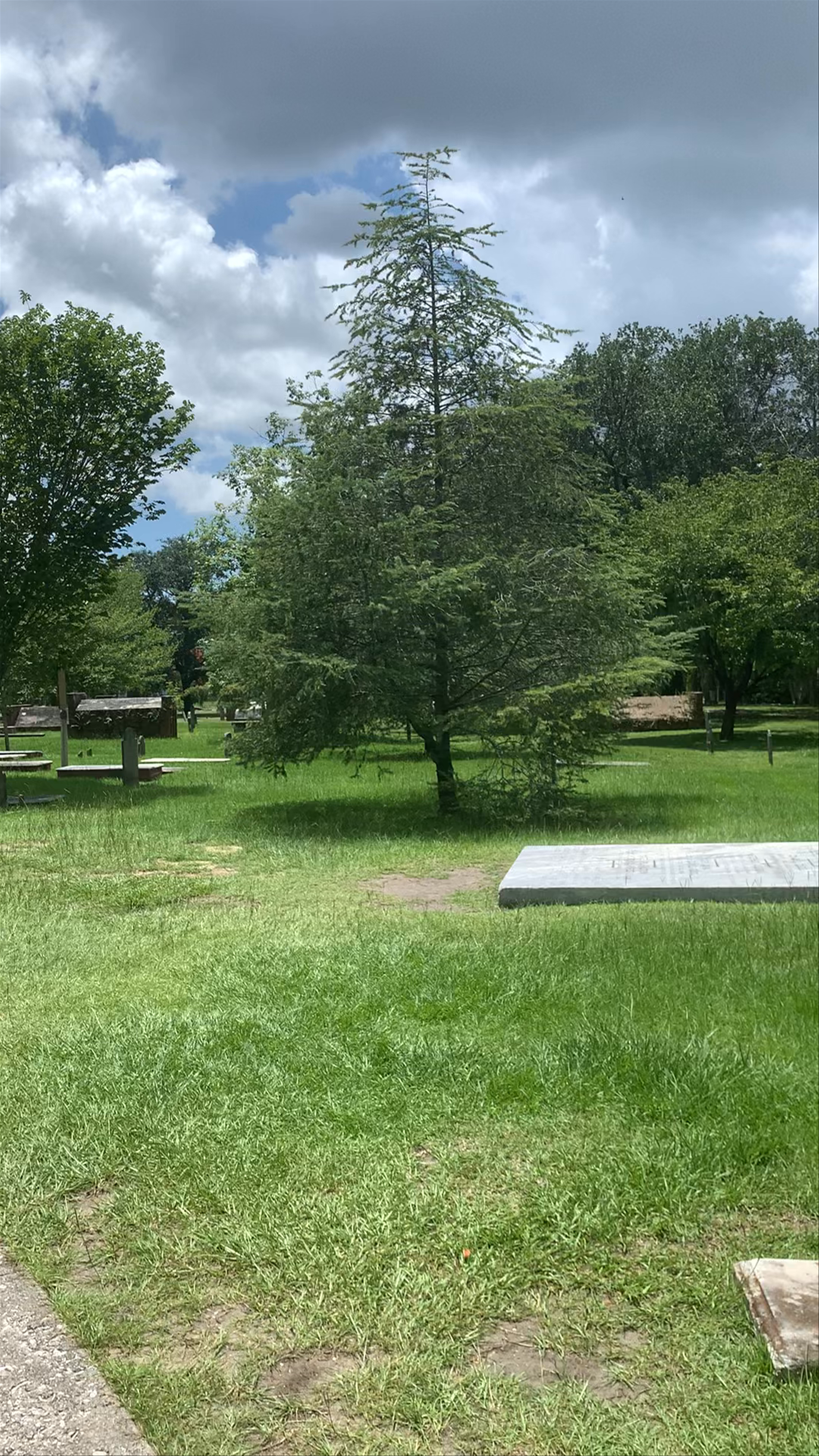Colonial Park Cemetery 