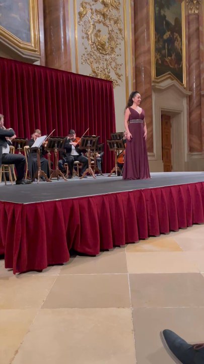 Palais Liechtenstein - Opera singer - Art Galleries Near Me - Vienna, 9