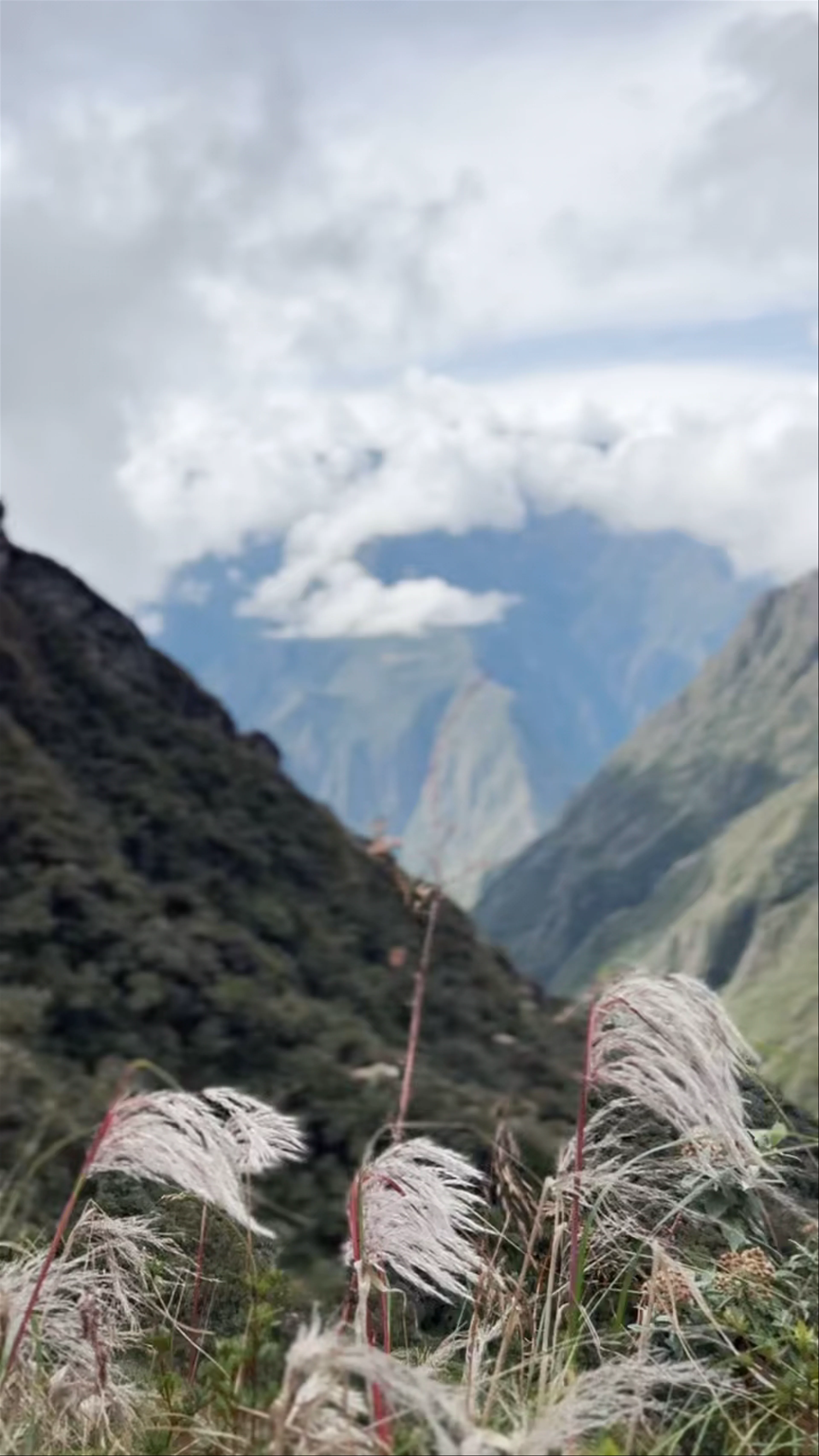 Alpaca Expeditions, Office 24, Calle Heladeros, Cusco