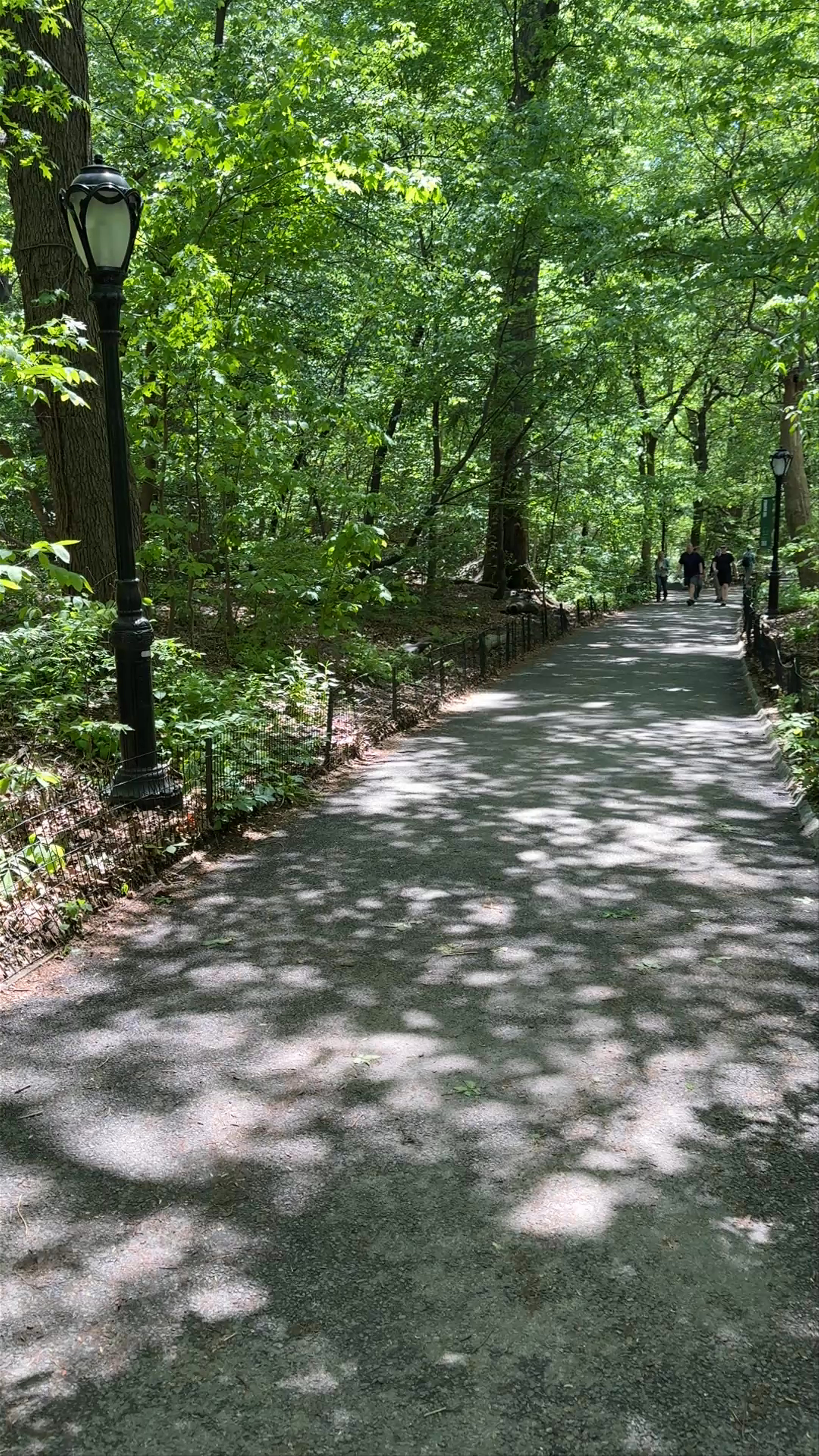 Central Park