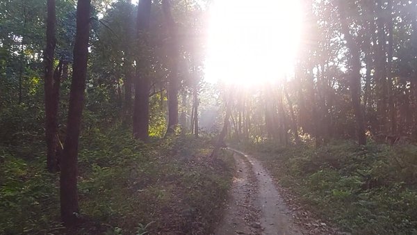 Photo of Our dooars trip 