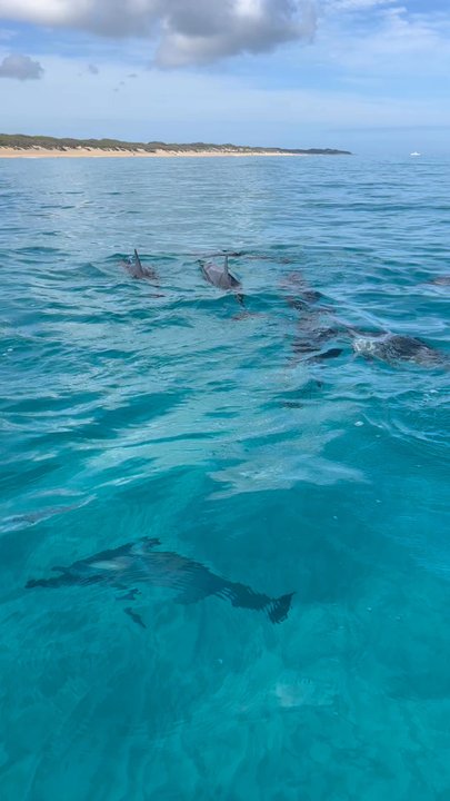 Na Pali Pirates - Boat Tours Near Me