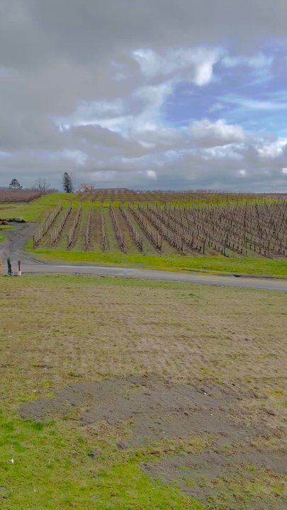 Adelsheim Vineyard - Views - Wine Tasting Room Near Me - Newberg, Oregon