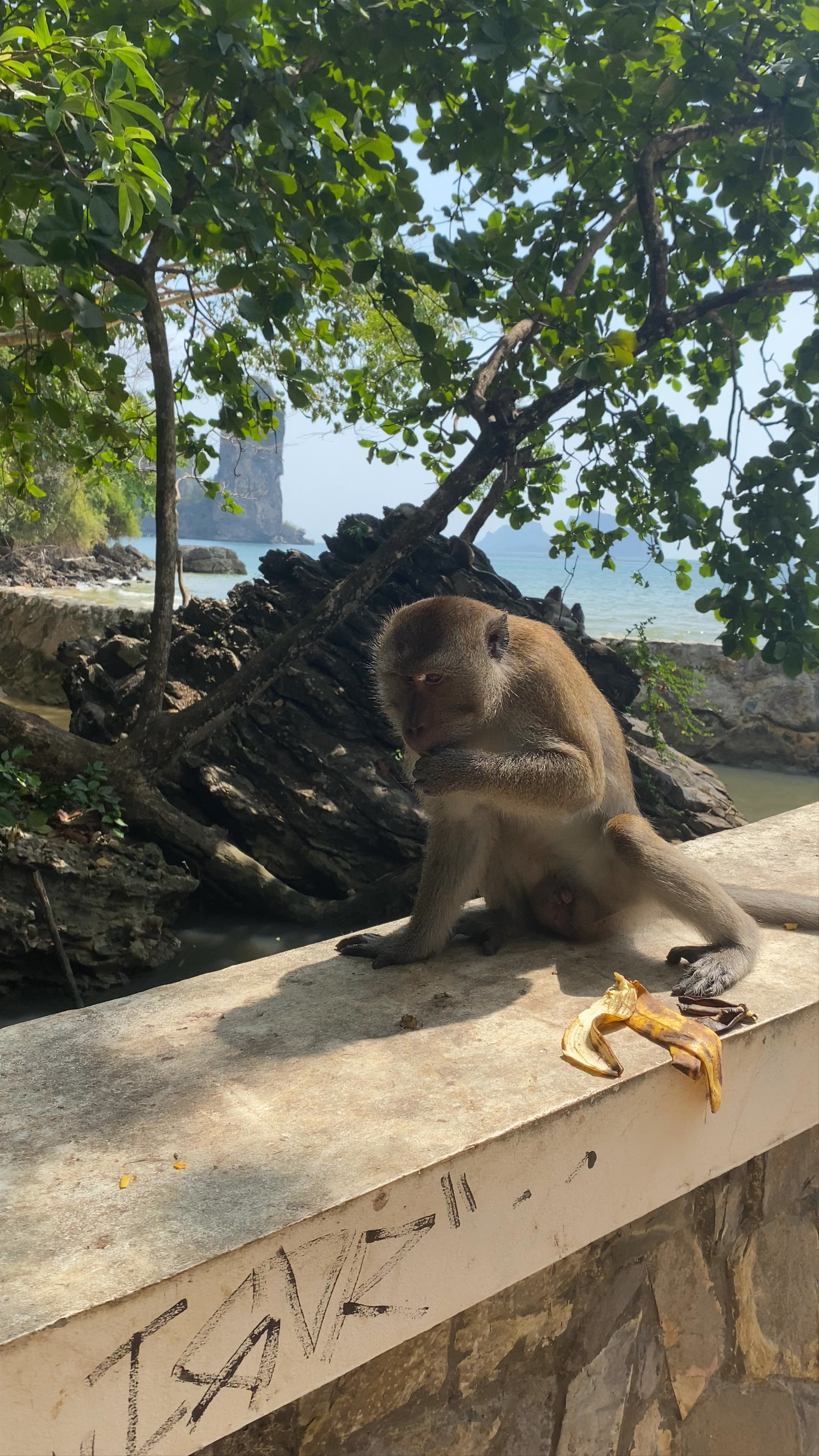 Ao Nang Beach