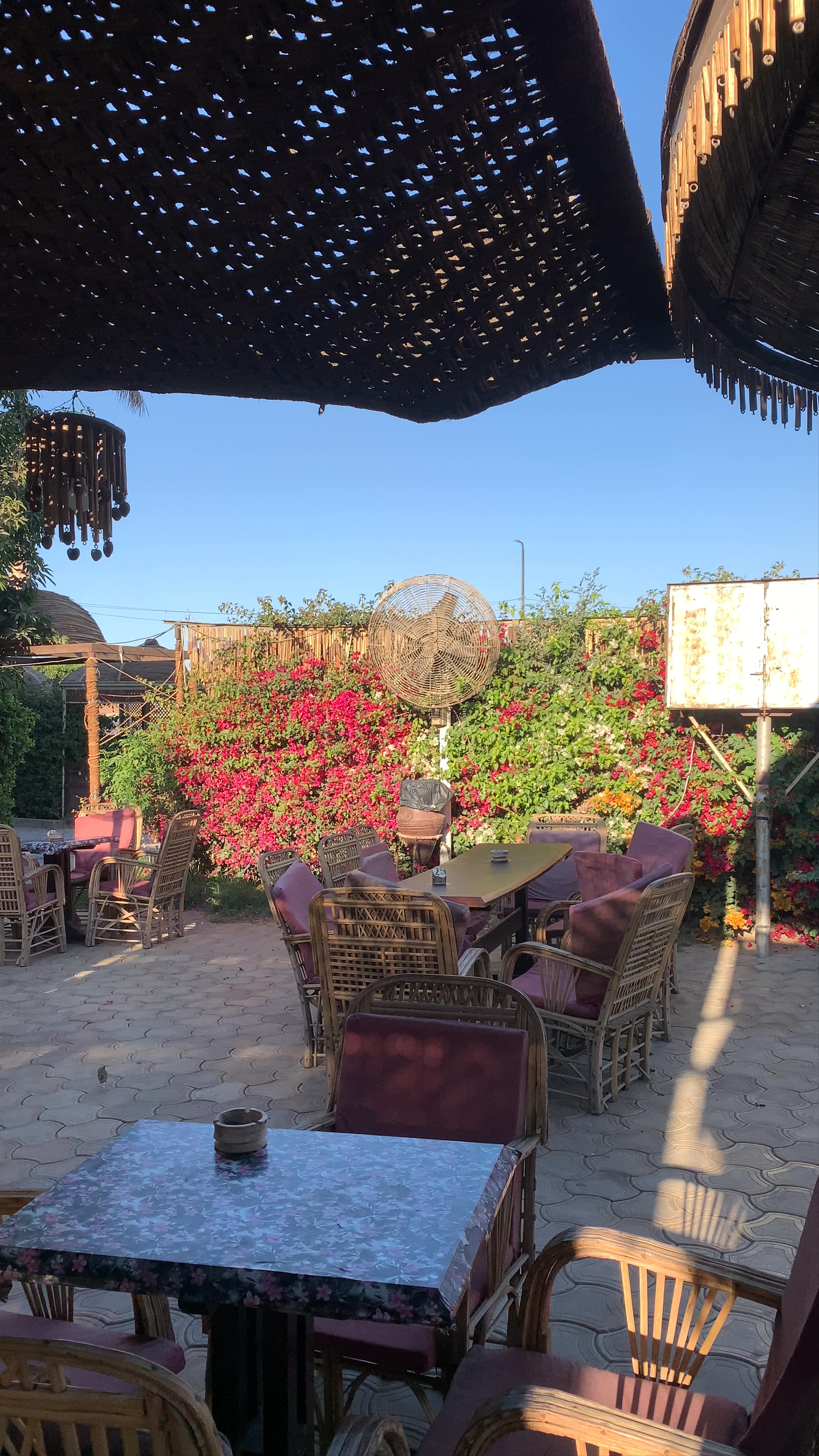 Cafe saraya، Kom Ombo