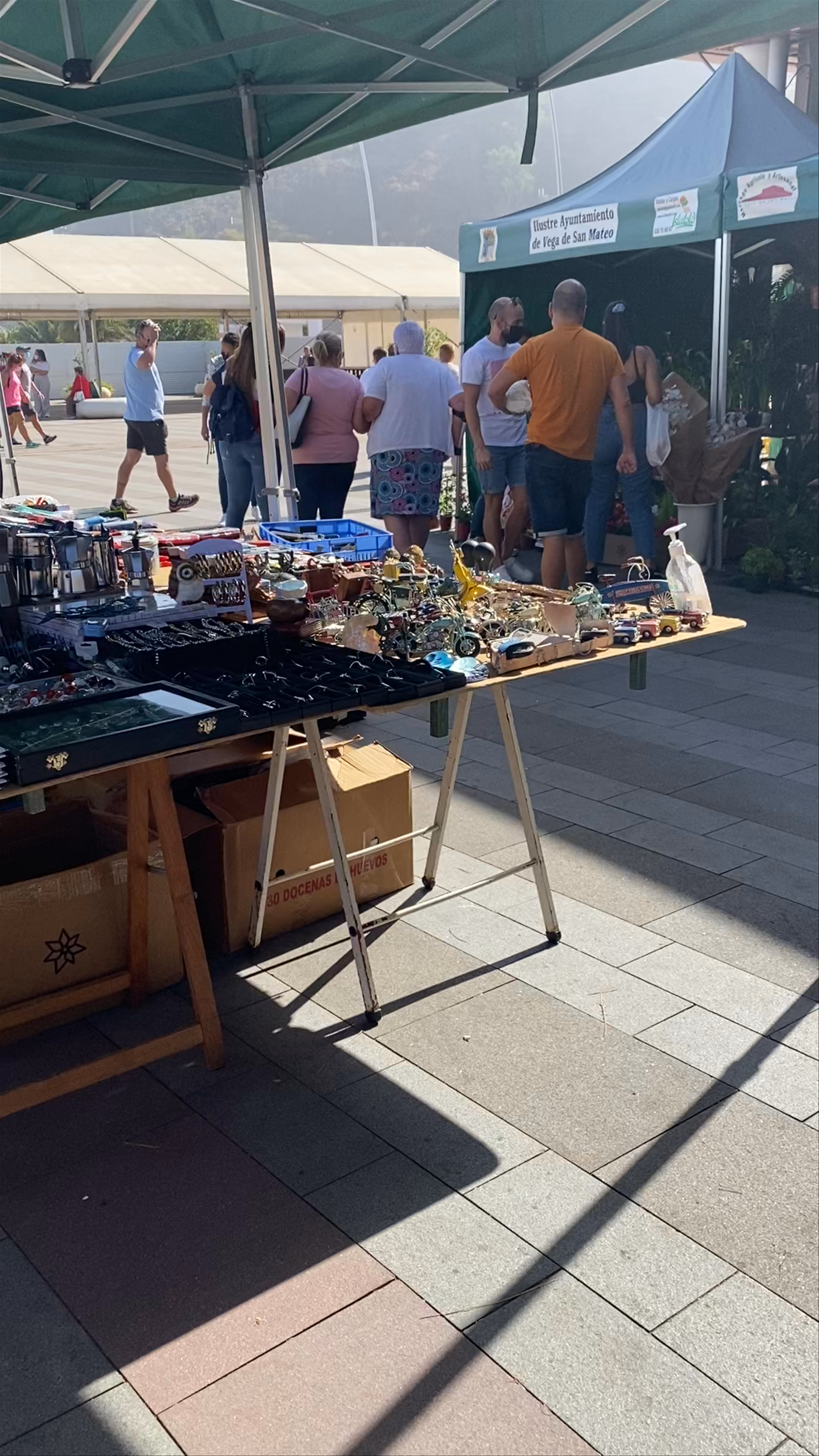 Mercado Agrícola y Artesanal de Vega de San Mateo: A Vibrant Canarian Market Experience