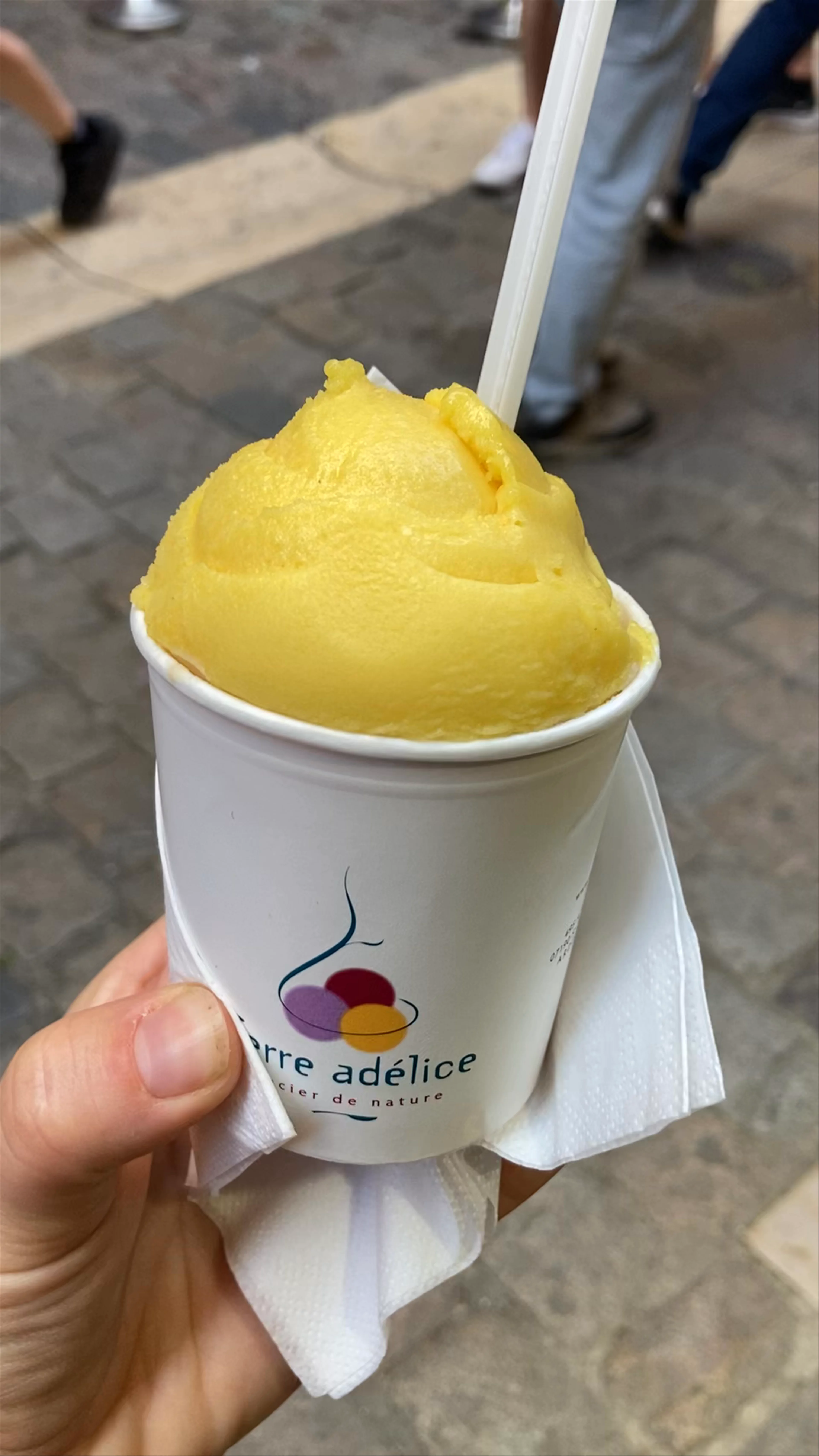 Glacier Terre adélice LYON, Place de la Baleine, Lyon, France