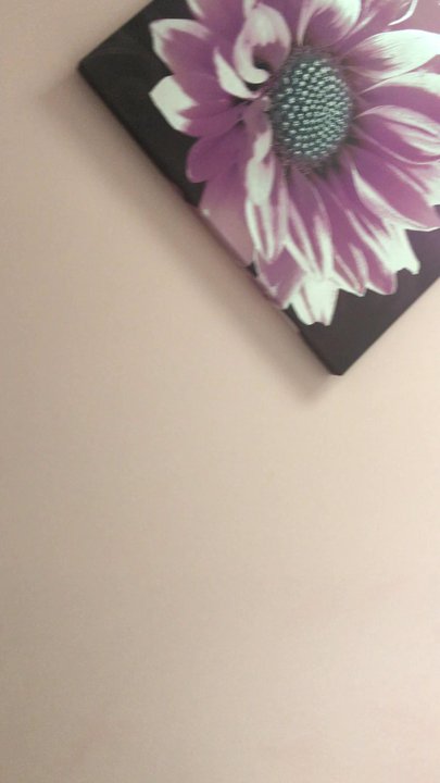 Express Waxing - Very clean!!! And smells delightful! - Waxing Near Me - Arlington, Virginia