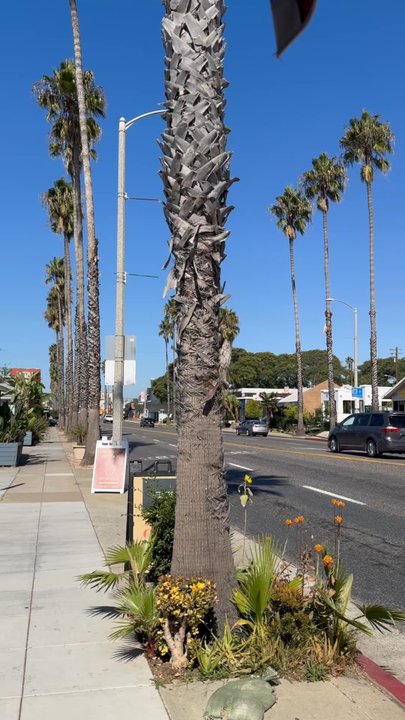 101 Cafe - American Near Me - Oceanside, California