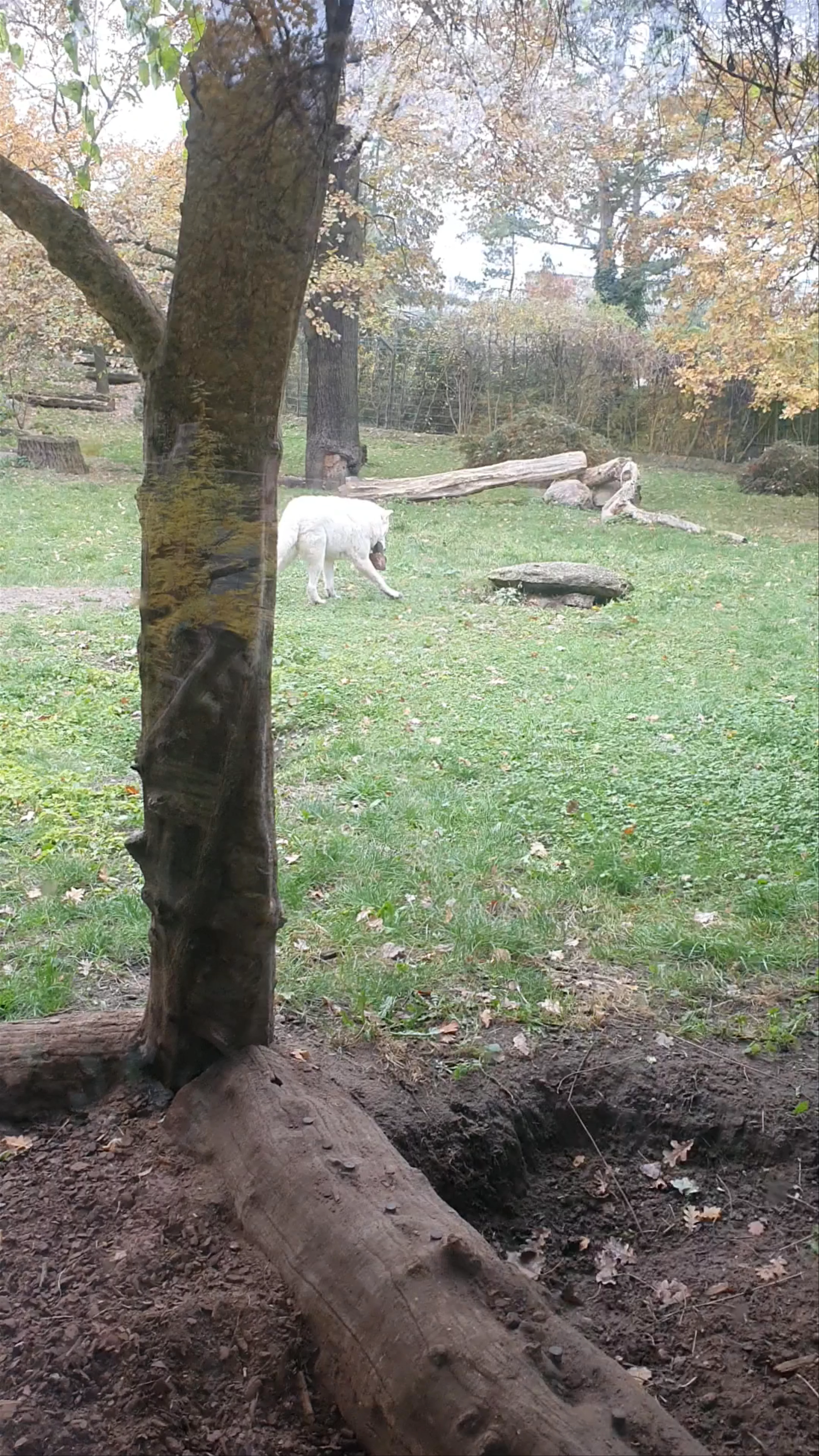 Zoo Berlin