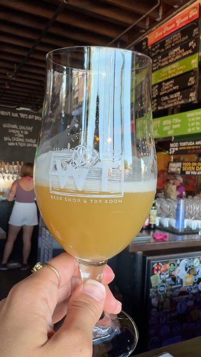 The Wandering Tortoise - Wine Bars Near Me - Phoenix, Arizona