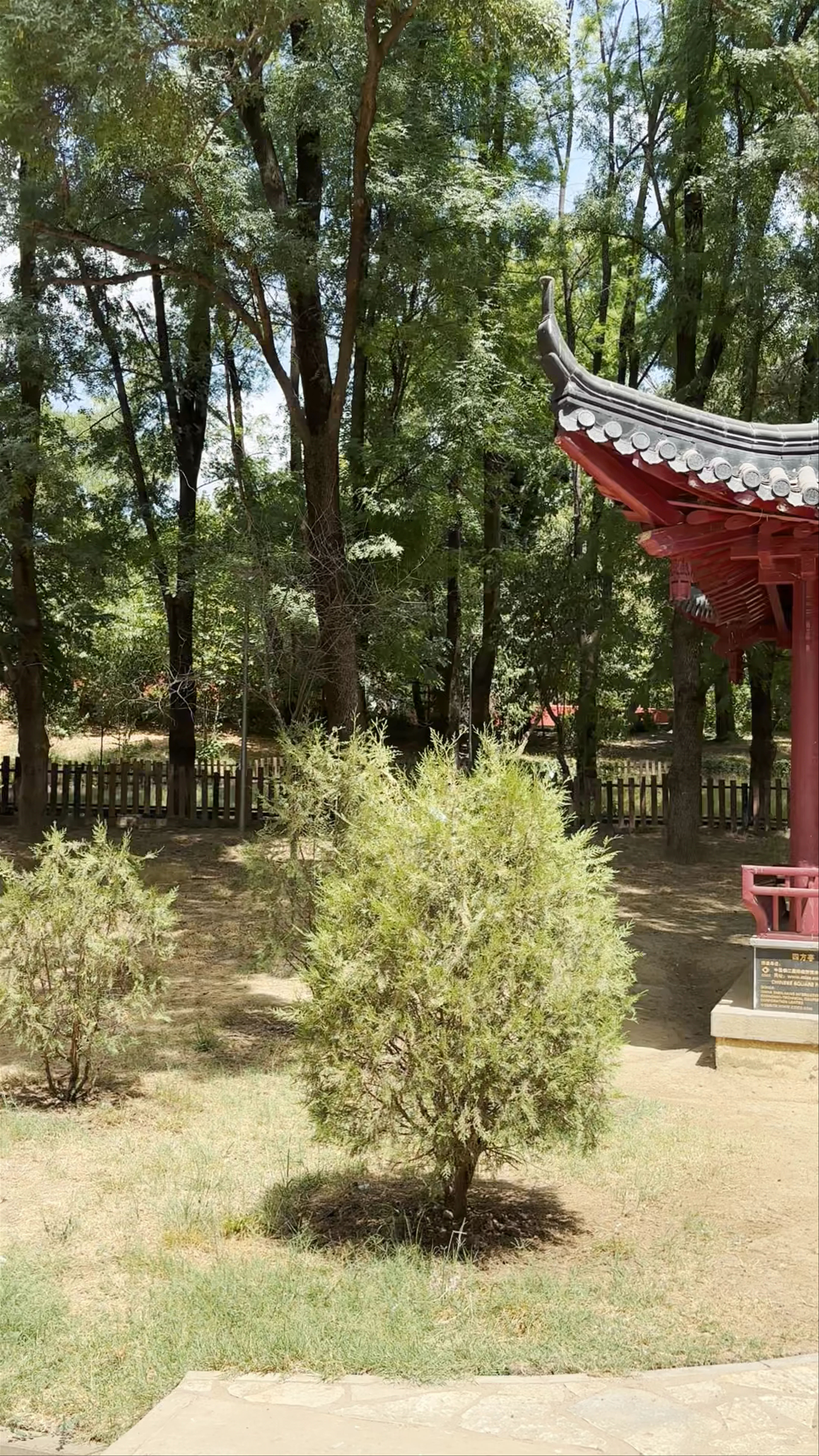 Chinese Square Pavilion