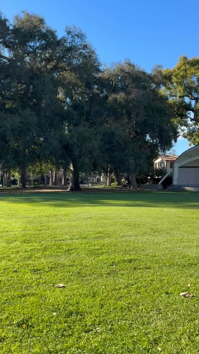 Memorial Park - Beautiful day at Memorial Park - Parks Near Me - Claremont, California