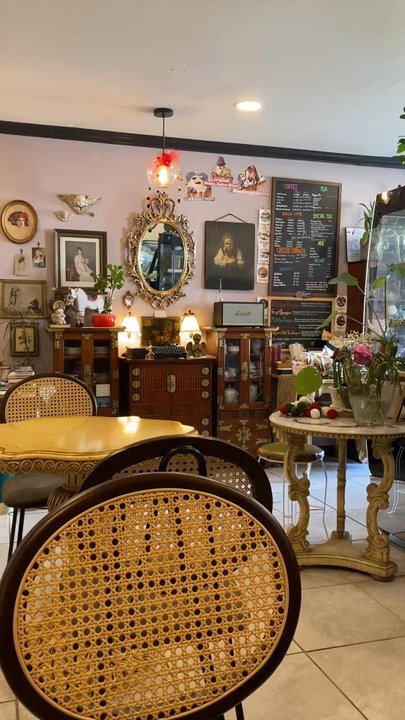 Camellia Bell - Camels Bell - Coffee & Tea Near Me - Bayside, New York