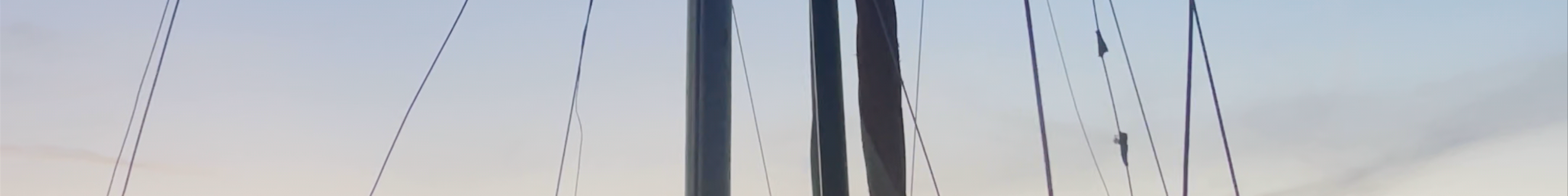 Tours & experiences in Turgutreis