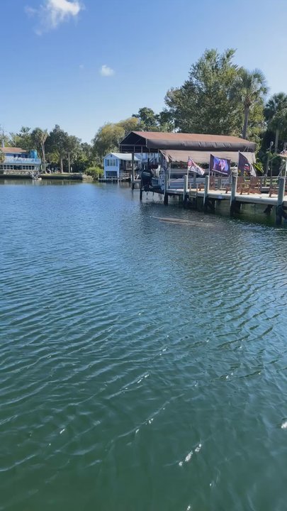 American Pro Diving Center - Diving Near Me - Crystal River, Florida