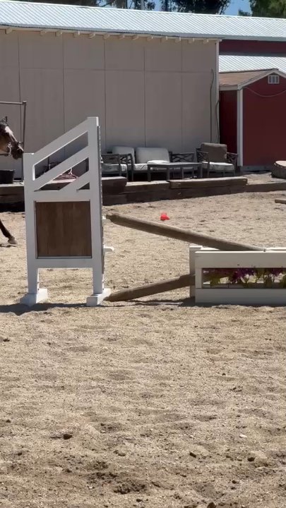 Silver Lining Stables - Horseback Riding Near Me - Moorpark, California