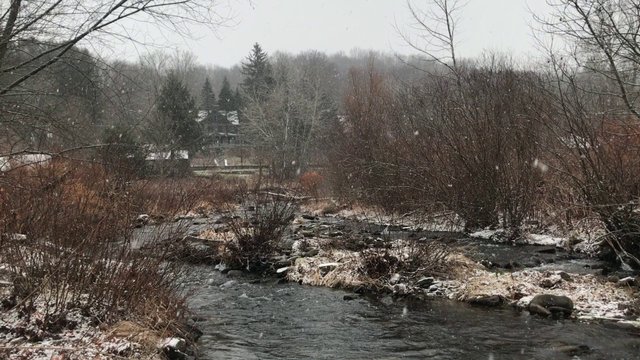 Snow falling by a river 
