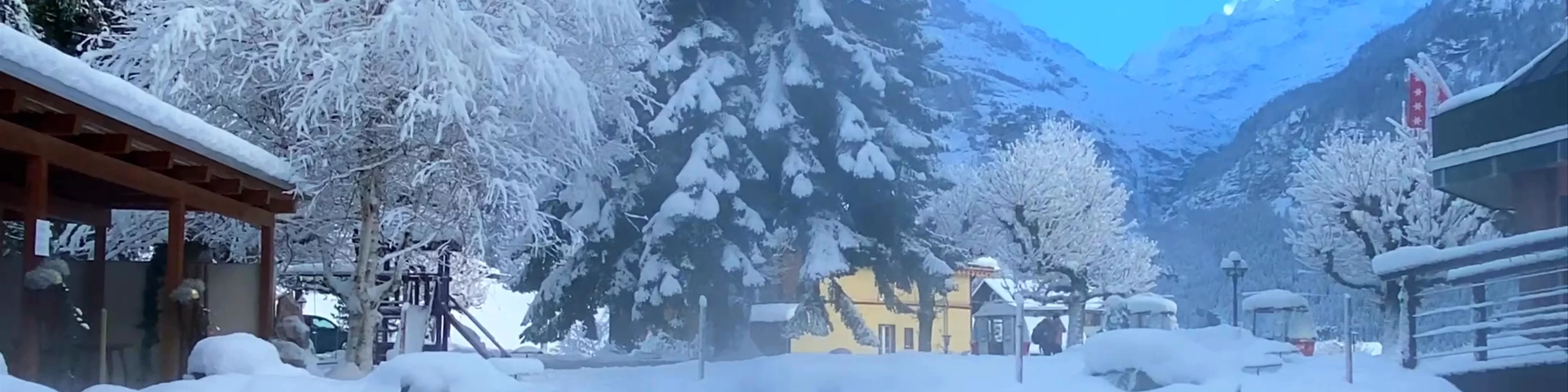 Hotel Belvedere Grindelwald