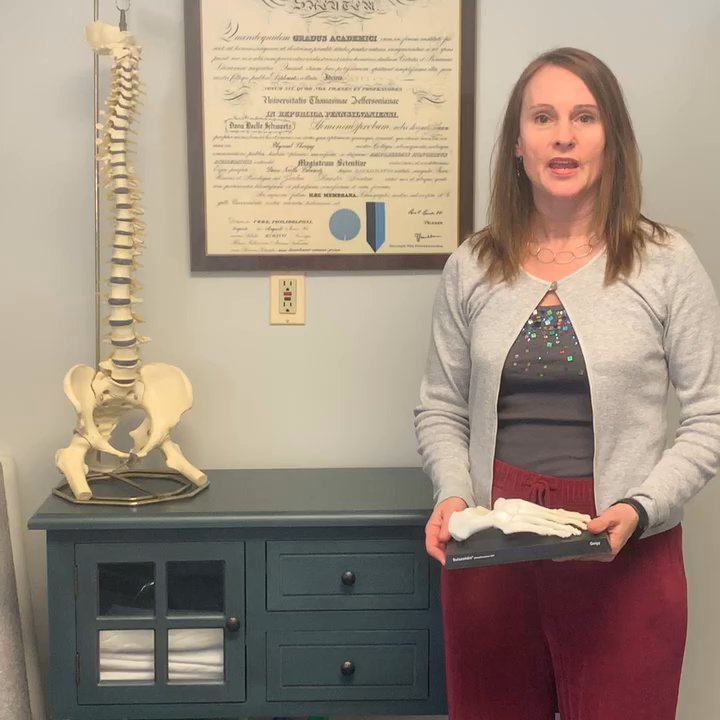 Schwartz Physical Therapy - 732-222-7900 - Physical Therapy Near Me - Long Branch, New Jersey