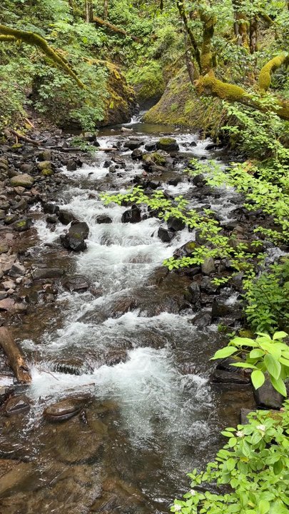 Bridal Veil Falls - Base - Hiking Near Me - Corbett, Oregon