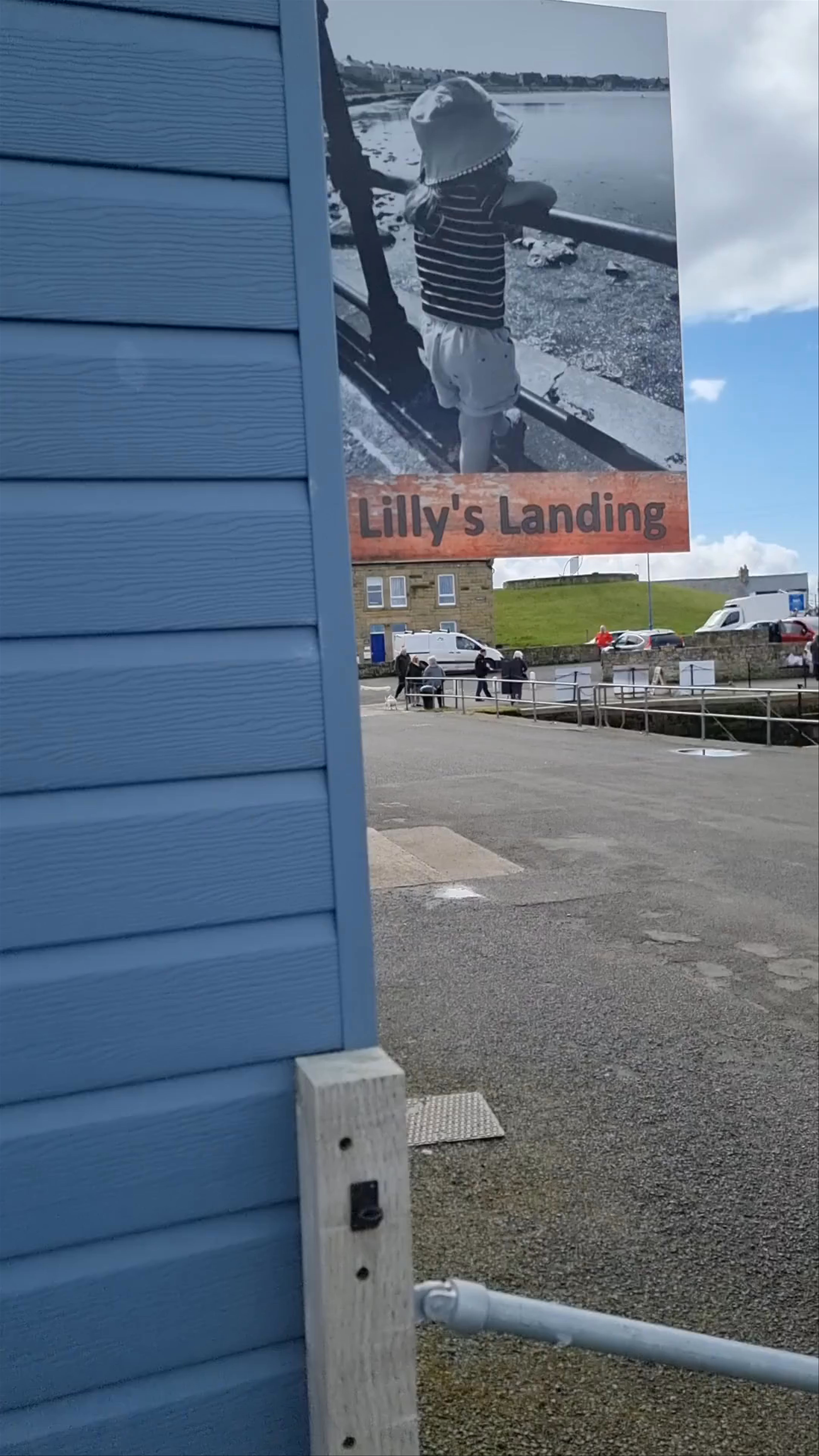 Lily's Landing