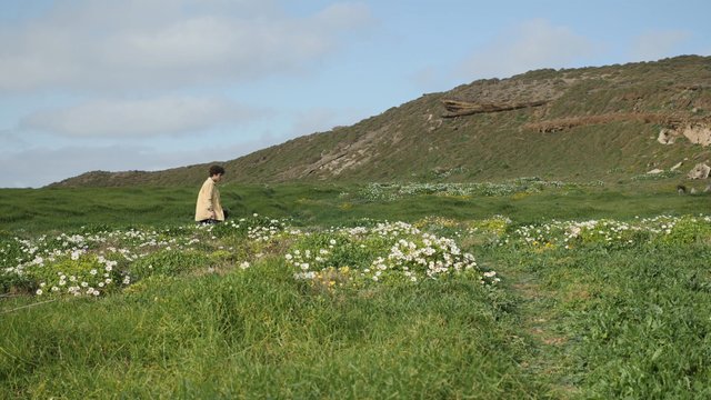 Man walking through a field and looking through binoculars