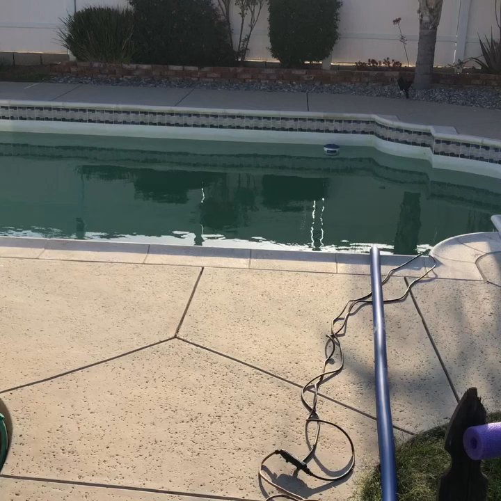 Acqua Alta Pools - Kevin brought a pump over to drain my pool. Did a great job! It quickly got empty! - Pool Cleaners Near Me