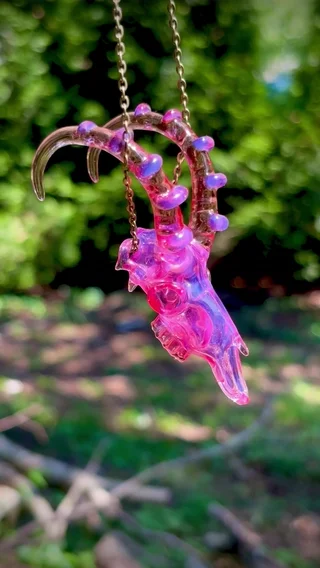 Preview pic of Numbered Ibex skull (#1)