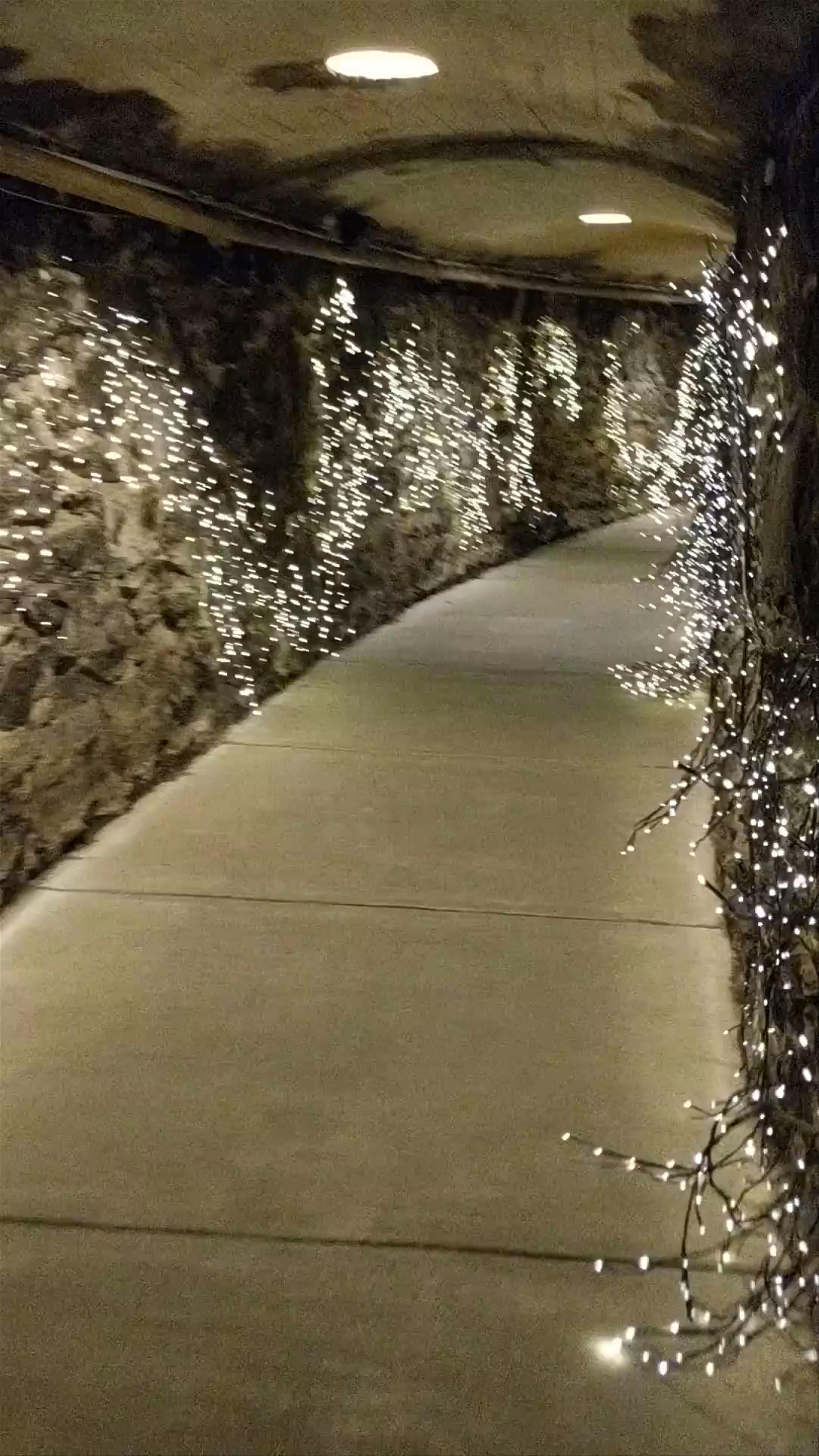 Enchanting Night Walk through Biltmore's Illuminated Tunnel, Asheville