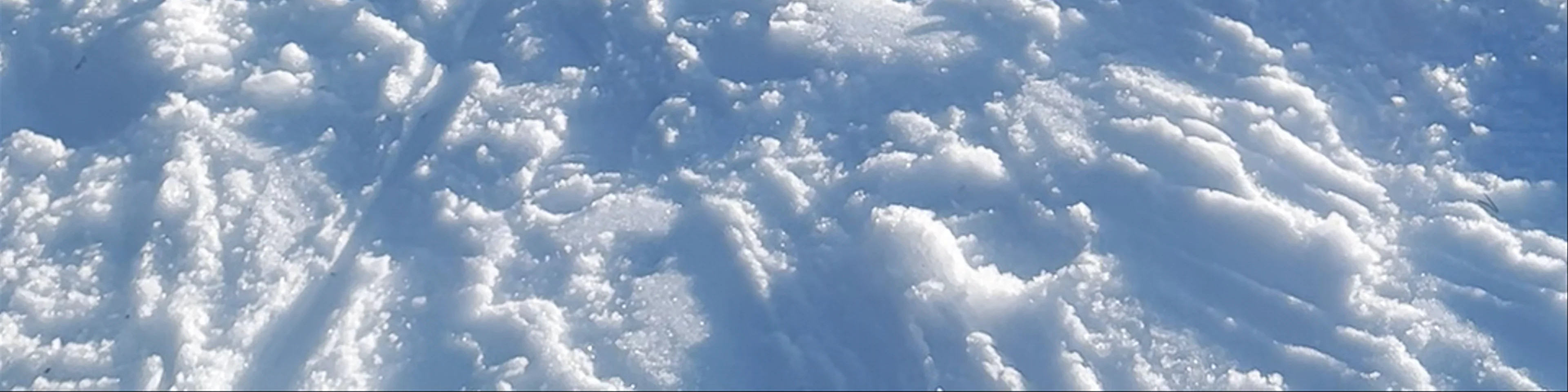 Skicenter La Molina