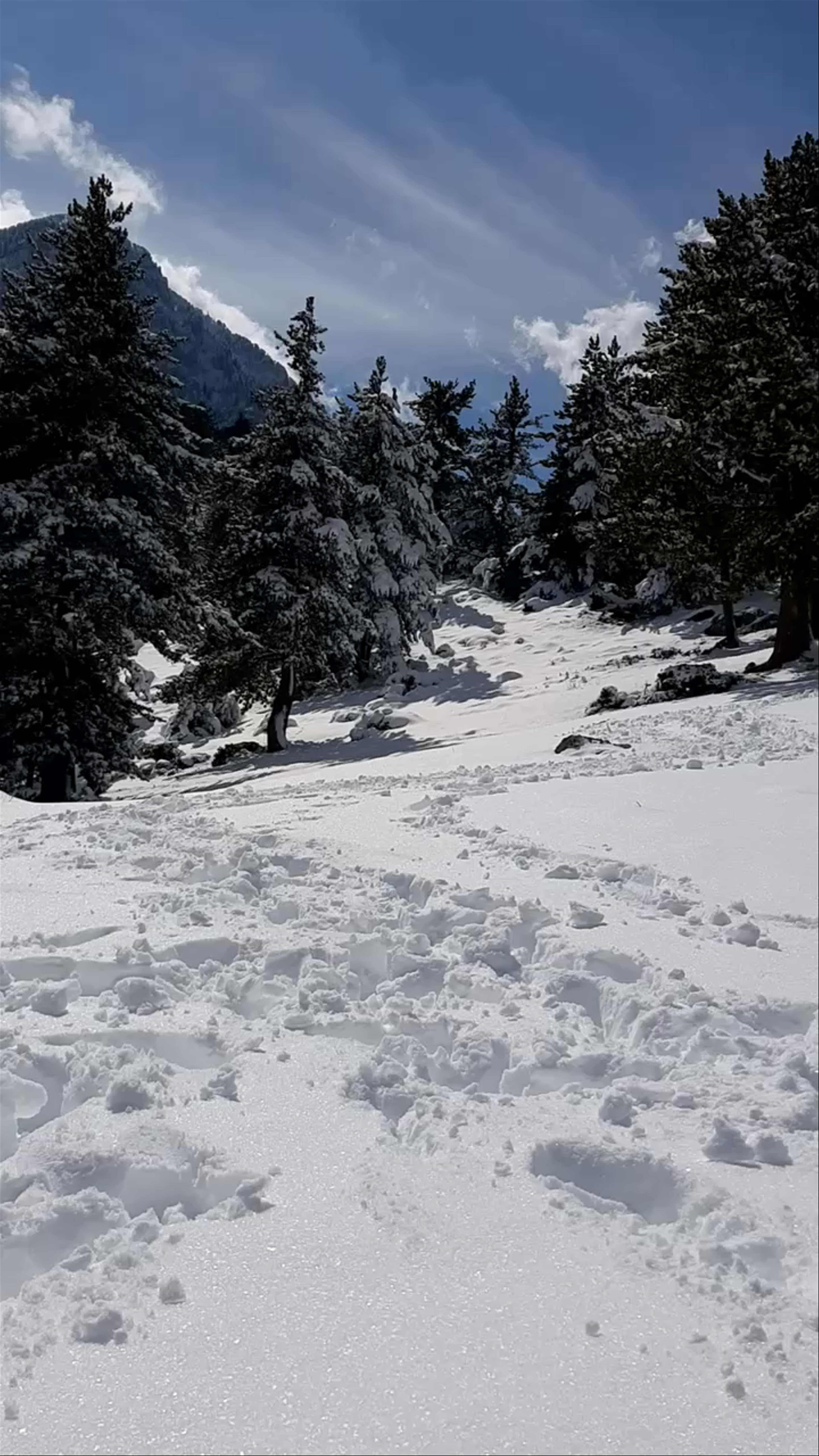 Snow-Covered Magic at Mali i Tomorrit National Park, Albania
