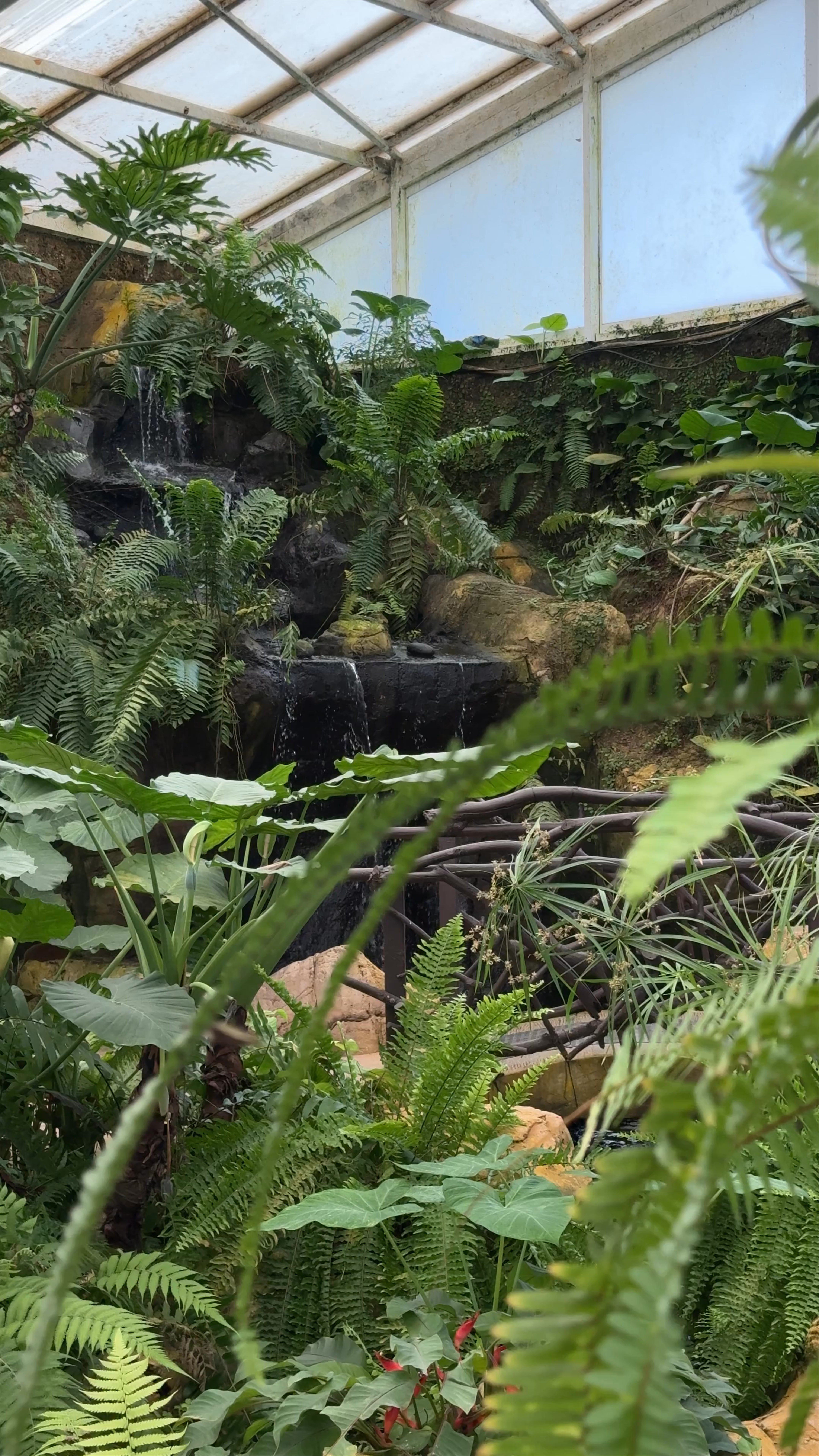 Mariposario de Benalmádena-Butterfly Park