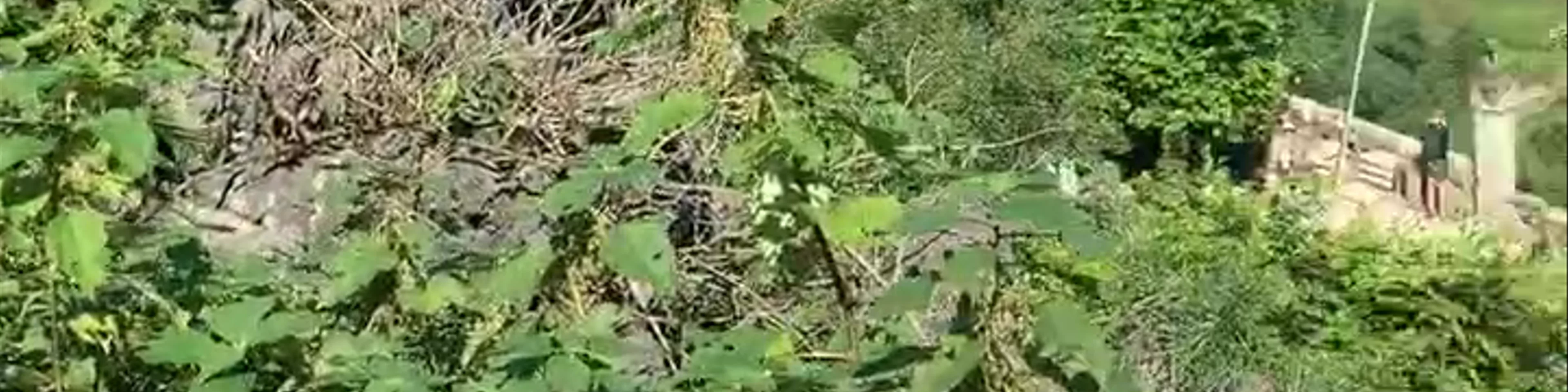 Khu du lịch Hang Múa