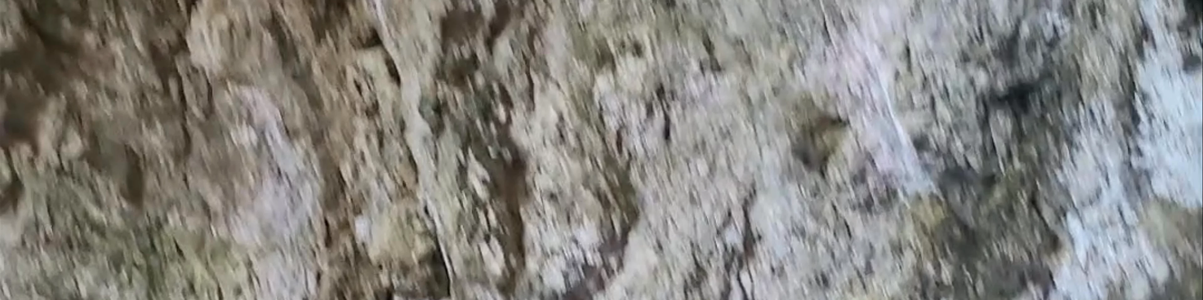 Shpella e Haxhi Aliut (Haxhi Ali Cave)
