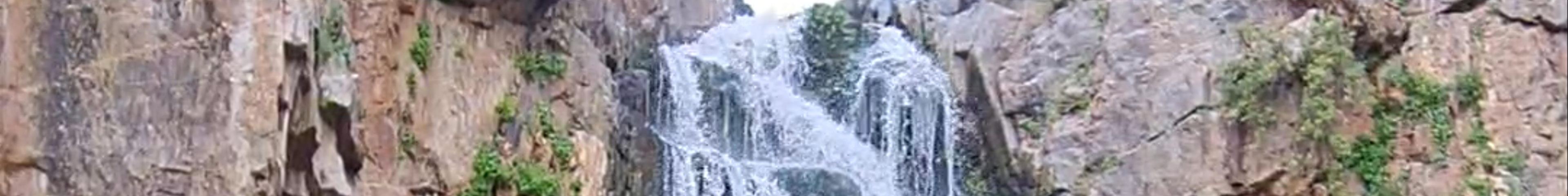 Tours & experiences in Ta’if