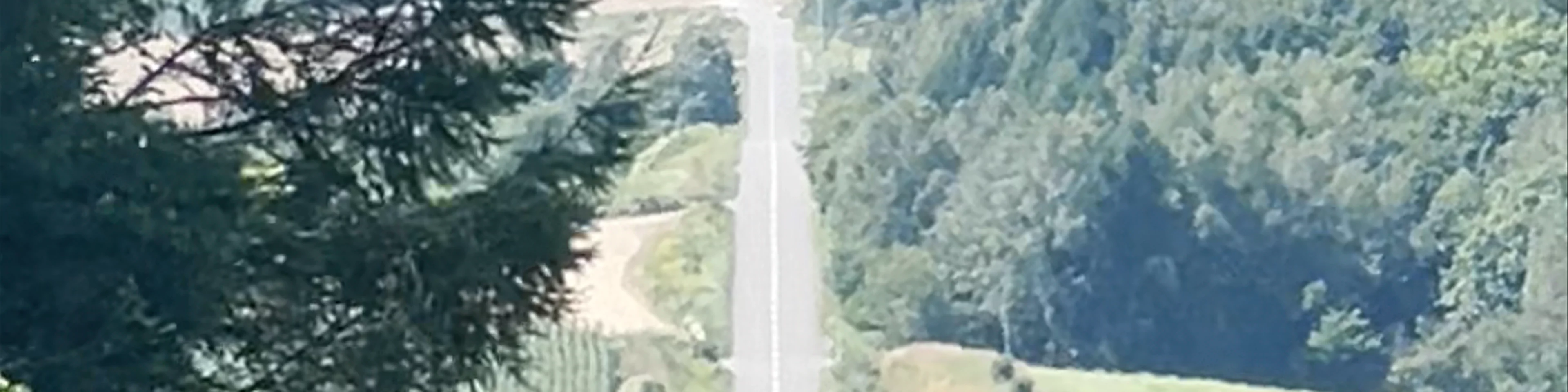 Rollercoaster Road