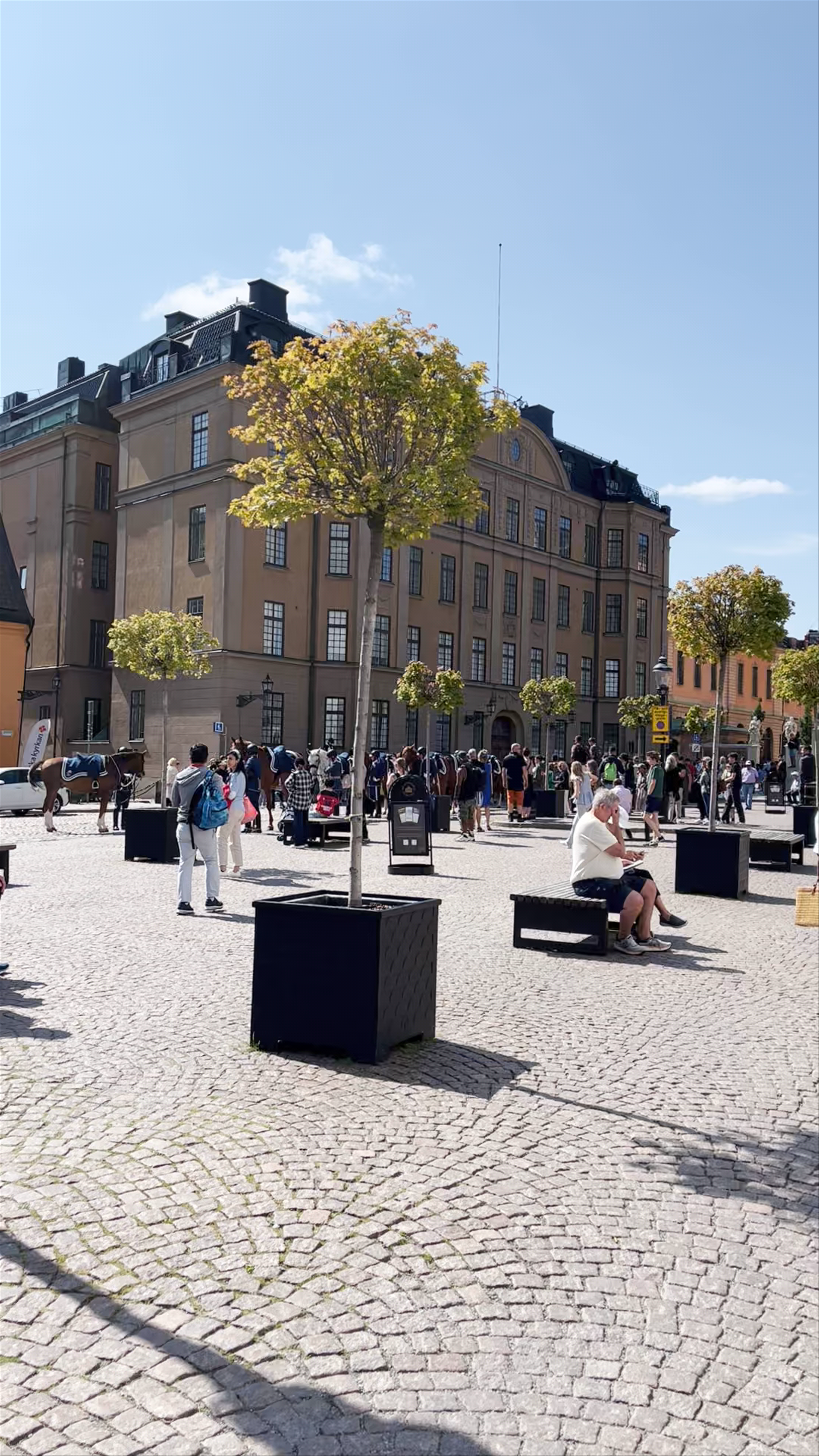 Skattkammaren