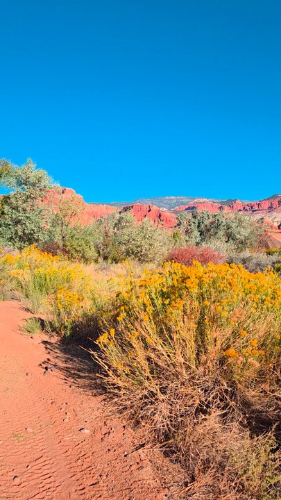 Capitol Reef Resort - Captivating View   09-23-2025 - Hotels Near Me - Torrey, Utah