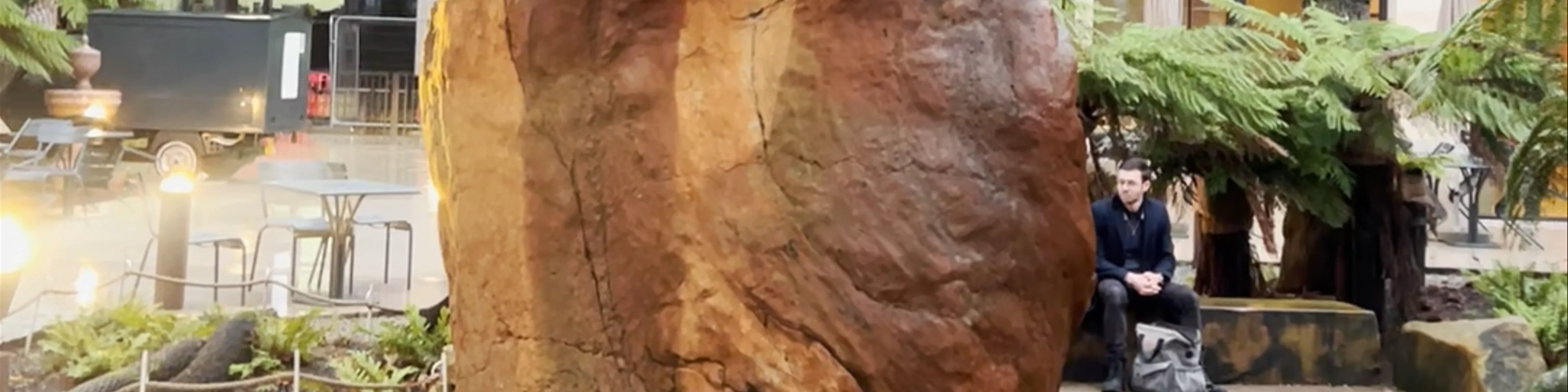 The Fossil Tree